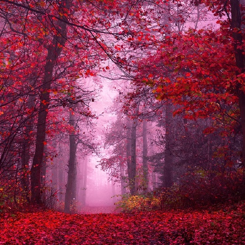 شبنم تووزلو قایتار